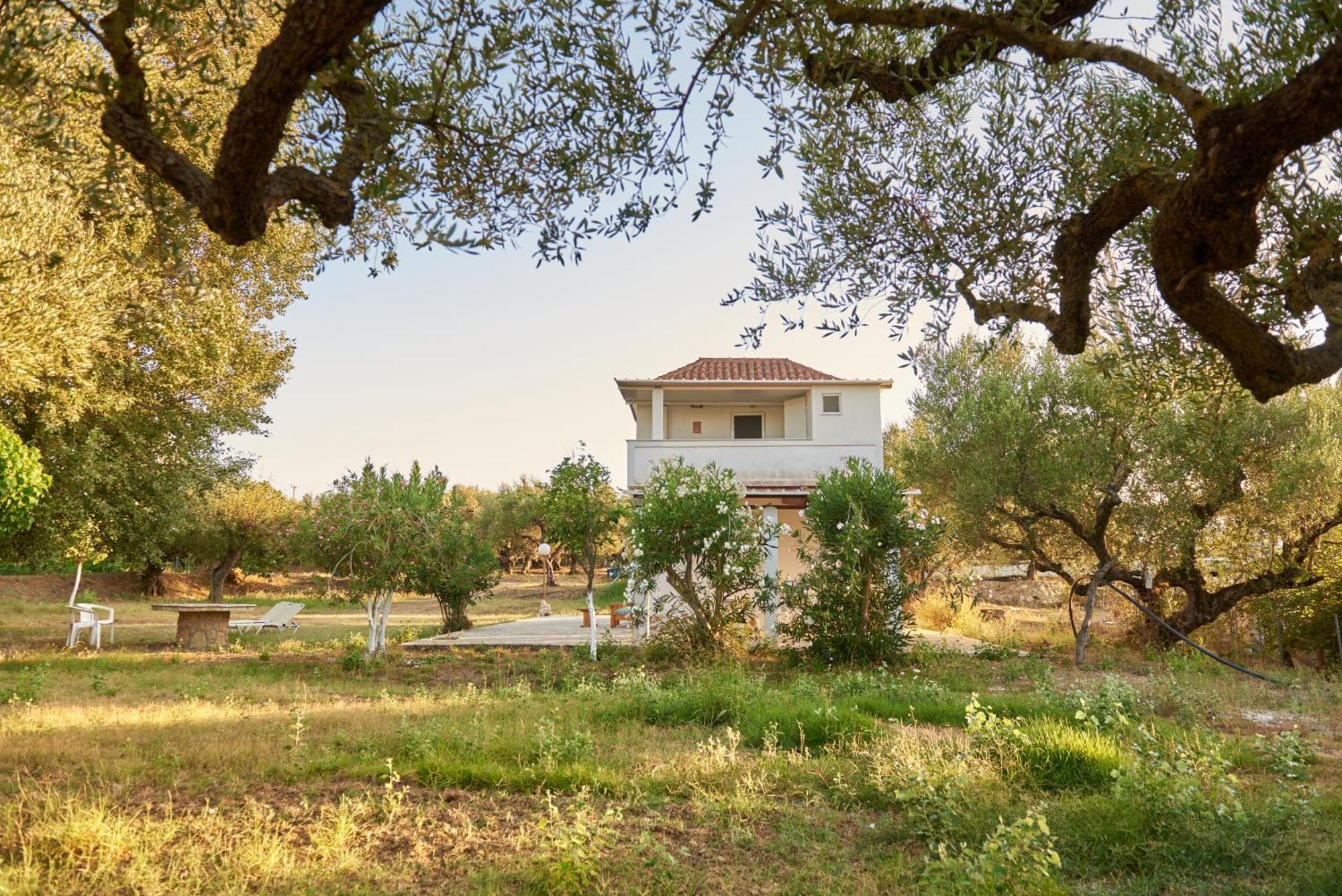 Villa Rania / Zante Drosia Kypseli Exteriör bild