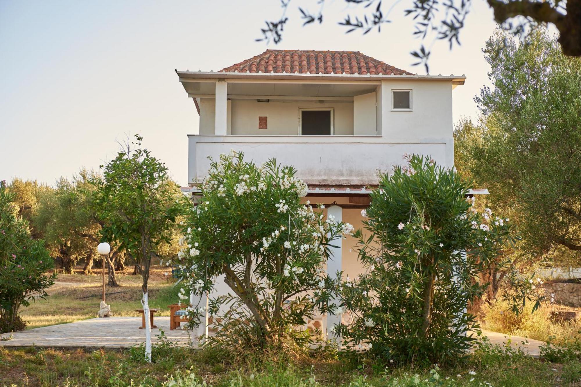 Villa Rania / Zante Drosia Kypseli Exteriör bild