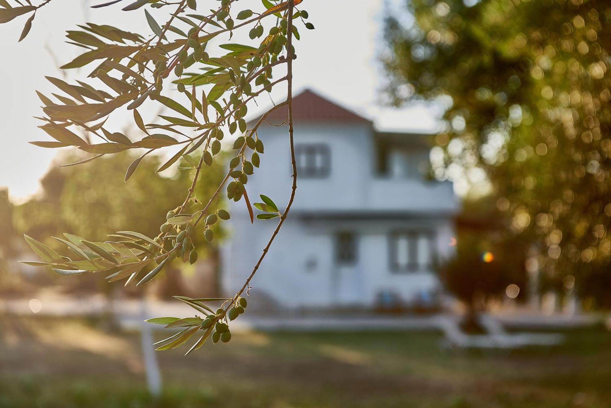 Villa Rania / Zante Drosia Kypseli Exteriör bild