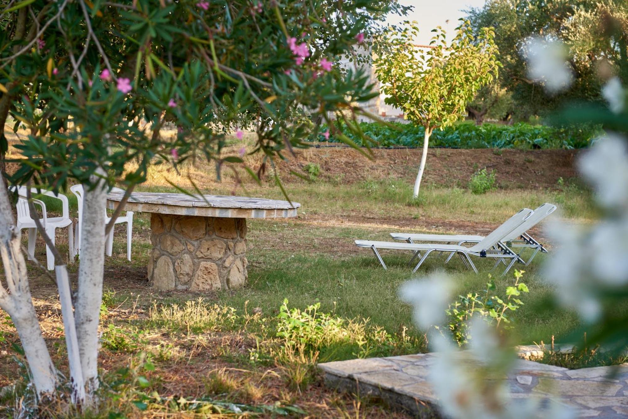 Villa Rania / Zante Drosia Kypseli Exteriör bild