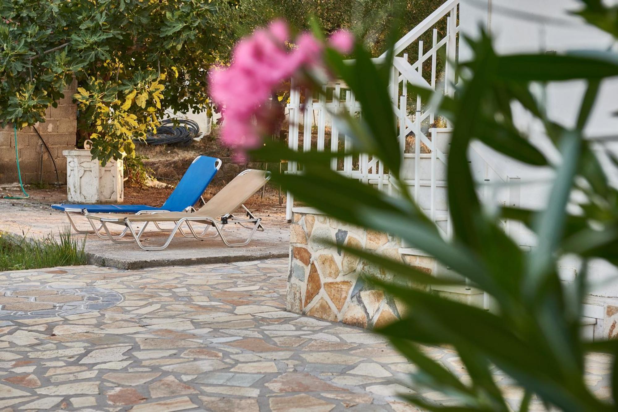 Villa Rania / Zante Drosia Kypseli Exteriör bild